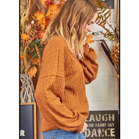 New P.S. Kate Textured Sweater Knit Top Long Sleeve Stretch Brown Size 3X - Picture 2 of 8